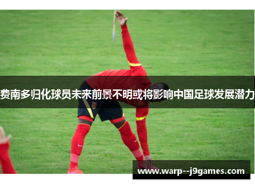 费南多归化球员未来前景不明或将影响中国足球发展潜力